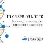 To CRISPR or not to CRISPR: The Ongoing Ethical Debate Surrounding Embryonic Gene Editing