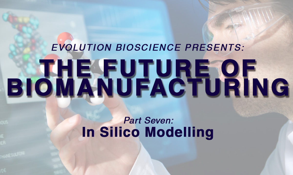The Future of Biomanufacturing: In Silico Modelling