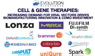 Cell & Gene Therapy: Increasing Demand for Viral Vectors Drives Biomanufacturing Innovation & CDMO Investment